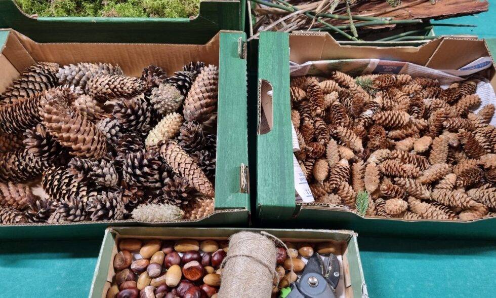 PROJEKTINĖS VEIKLOS TĘSIASI