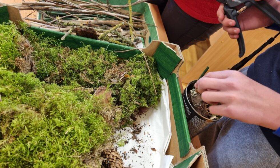 PROJEKTINĖS VEIKLOS TĘSIASI