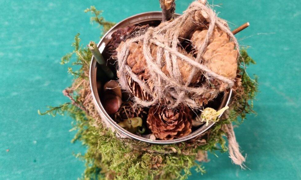 PROJEKTINĖS VEIKLOS TĘSIASI