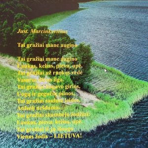 Pamoka-raiškiojo skaitymo konkursas ,,Tau, Lietuva“