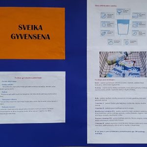 SVEIKOS GYVENSENOS DIENA SVEIKOS GYVENSENOS DIENA