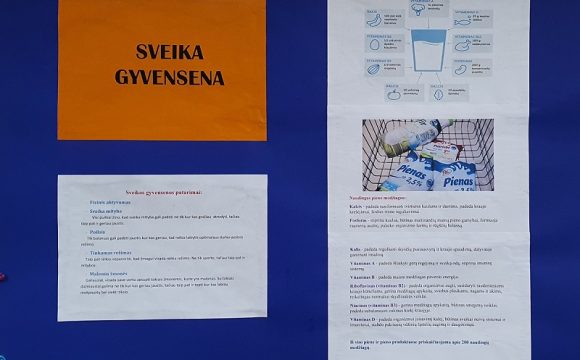 SVEIKOS GYVENSENOS DIENA