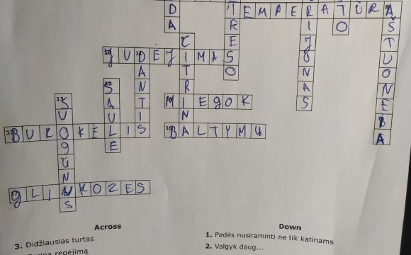 SVEIKOS GYVENSENOS UGDYMO DIENA