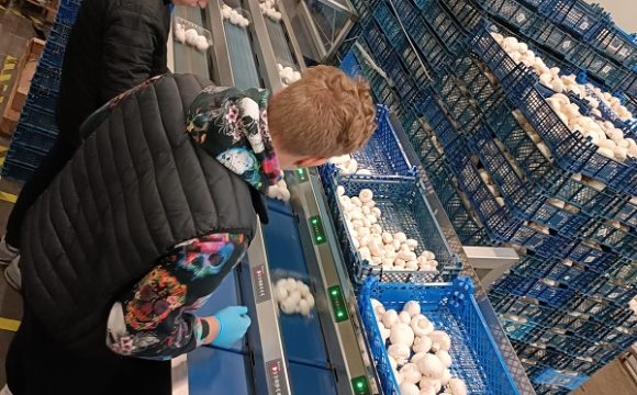 IŠVYKA Į PIEVAGRYBIŲ AUGINIMO FABRIKĄ