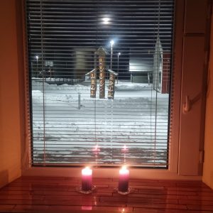 CENTRO BENDRUOMENĖ KARTU SU LIETUVA MINĖJO ,,LAISVĖS GYNĖJŲ DIENĄ“