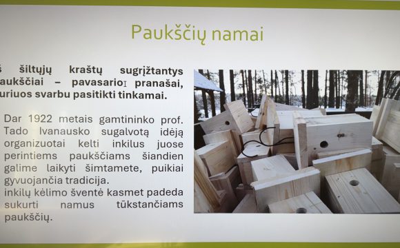 ŽEMĖS DIENA