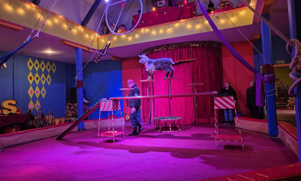 IŠVYKA Į CIRKĄ IR KLOUNŲ MUZIEJŲ