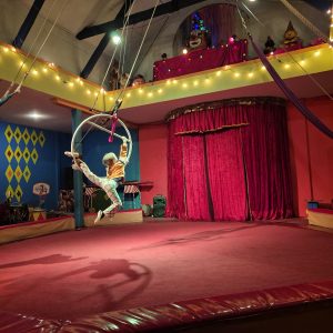 IŠVYKA Į CIRKĄ IR KLOUNŲ MUZIEJŲ