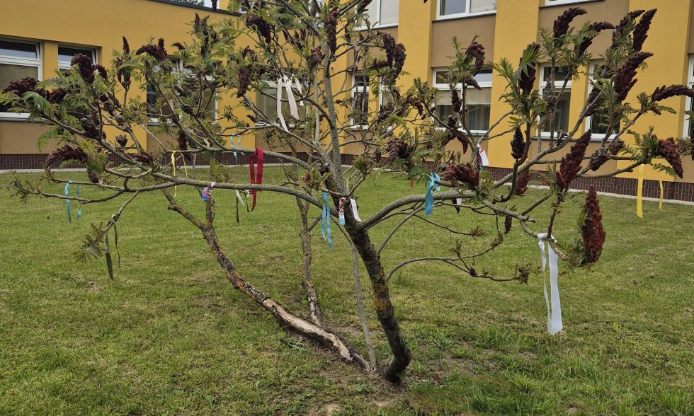 GEGUŽĖS 25-OJI – DINGUSIŲ BE ŽINIOS VAIKŲ DIENA