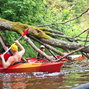 BAIGIAMASIS MOKSLO METŲ RENGINYS