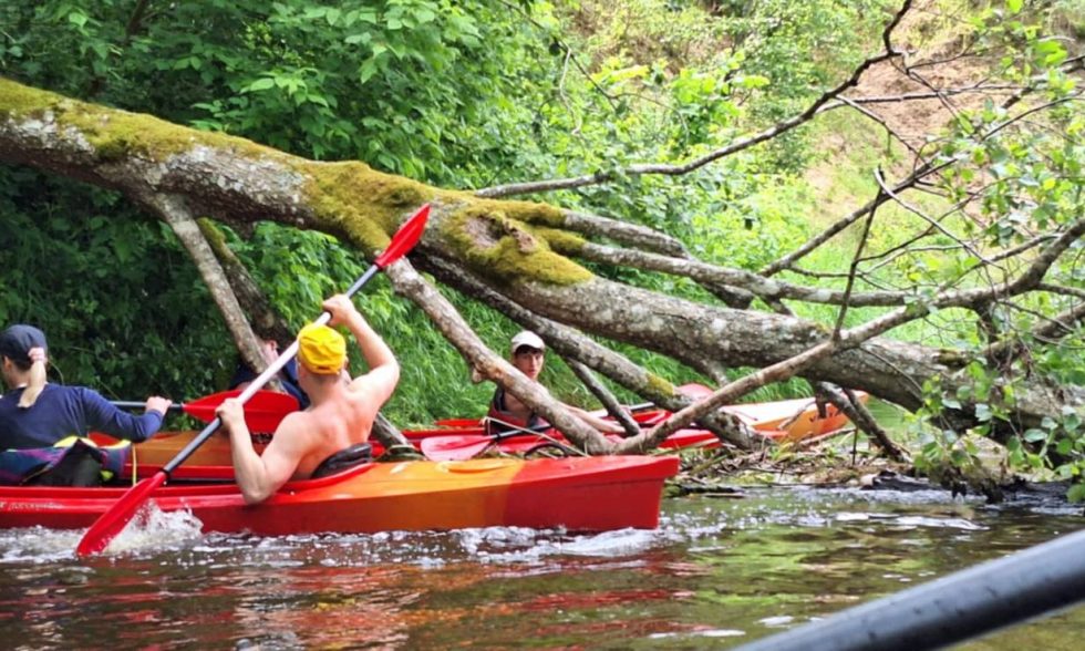 BAIGIAMASIS MOKSLO METŲ RENGINYS