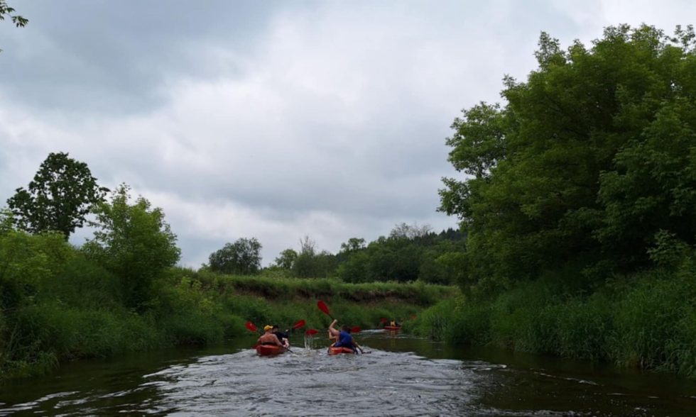 BAIGIAMASIS MOKSLO METŲ RENGINYS