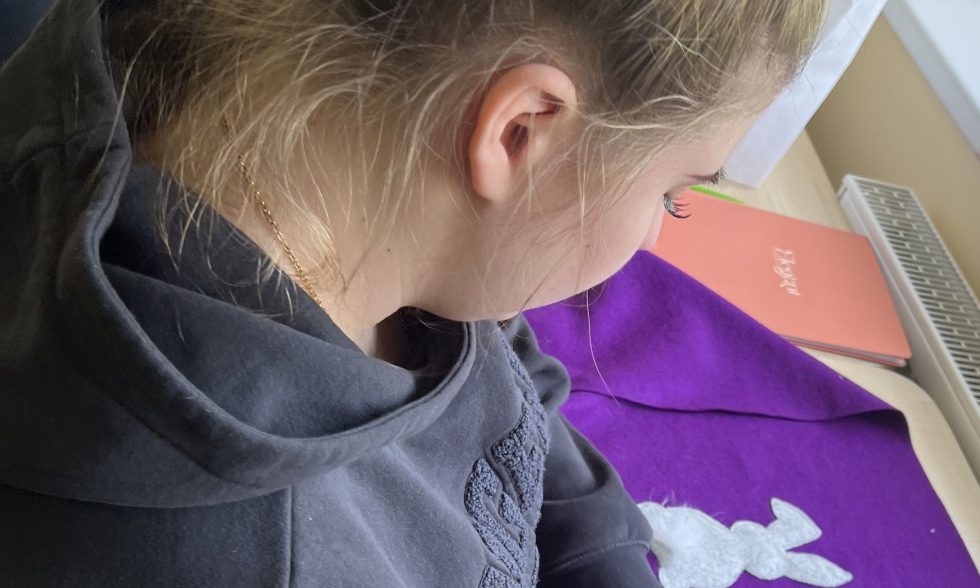 EKOLOGIJA PER KŪRYBĄ – TEKSTILĖS ATRAIŽŲ DIRBTUVĖS UGDYTINĖMS