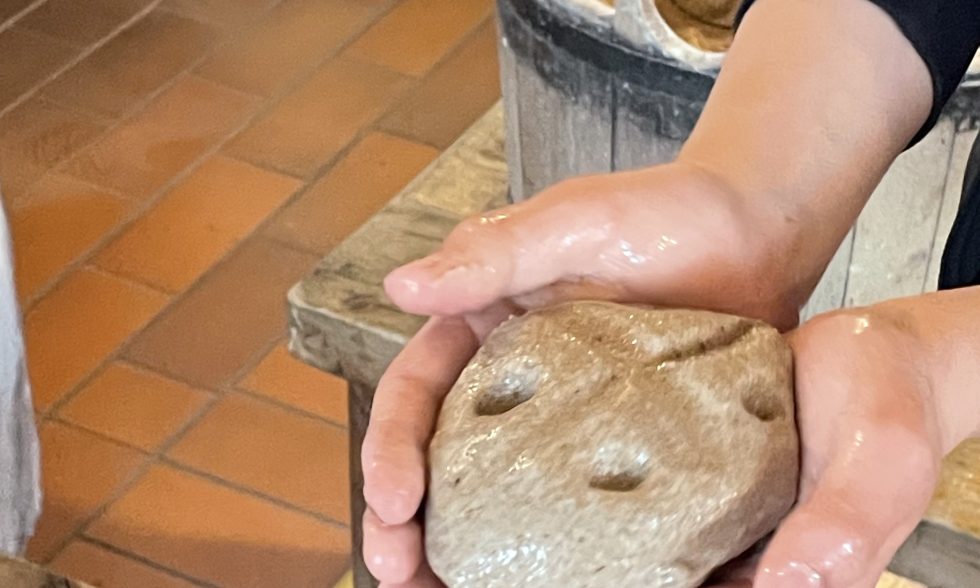 IŠVYKA Į ŽALIŪKŲ MALŪNININKO SODYBĄ