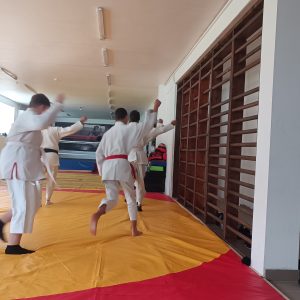 Sporto klubas “Mangustas”