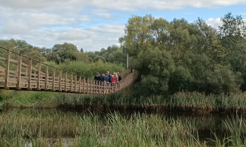 UGDYMO PROCESO ORGANIZAVIMAS KITOSE APLINKOSE.