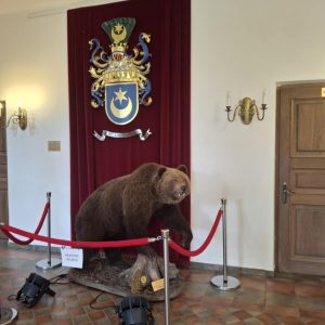 IŠVYKA Į RAUDONDVARIO PILĮ