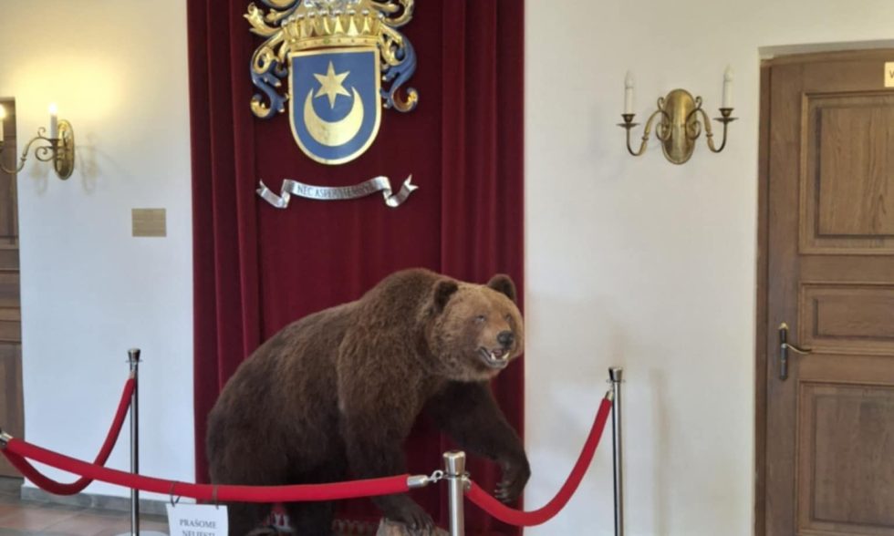 IŠVYKA Į RAUDONDVARIO PILĮ