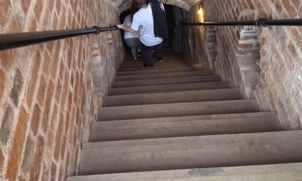 IŠVYKA Į RAUDONDVARIO PILĮ