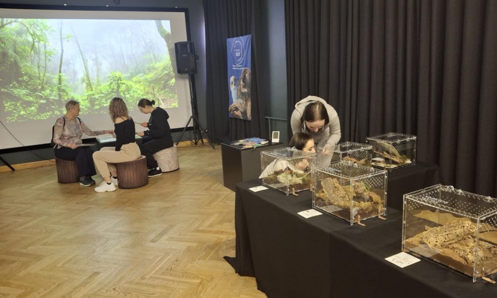 NETRADICINĖ PAMOKA LIETUVOS ŠVIETIMO MUZIEJUJE