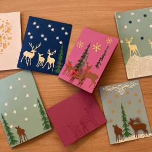 KURIAME KARTU SU KUNIONIŲ BENDRUOMENE