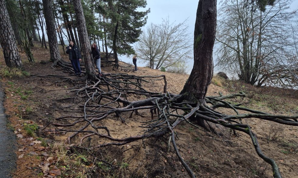 ATRASKIME PAŽAISLĮ: KELIONĖ GAMTOS TAKAIS