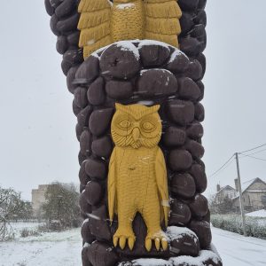 PELĖDNAGIAI: KUR GYVENA PELĖDOS