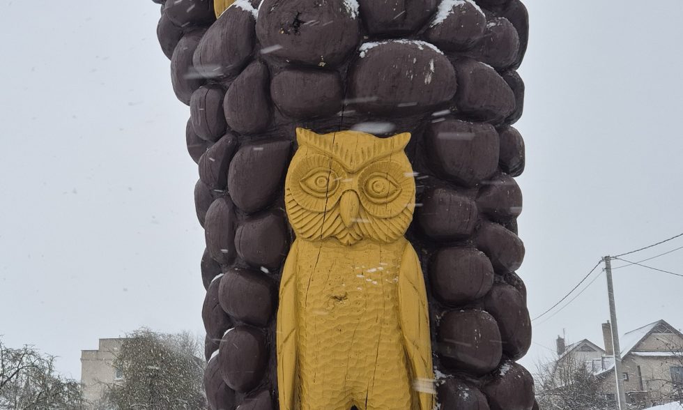 PELĖDNAGIAI: KUR GYVENA PELĖDOS