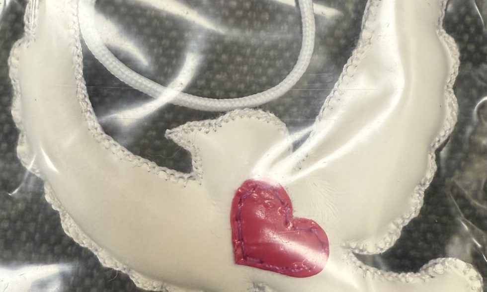 SUSITIKIMAS SU KUNIGU