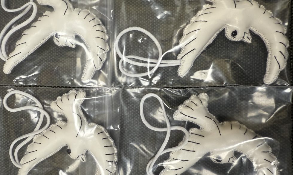 SUSITIKIMAS SU KUNIGU