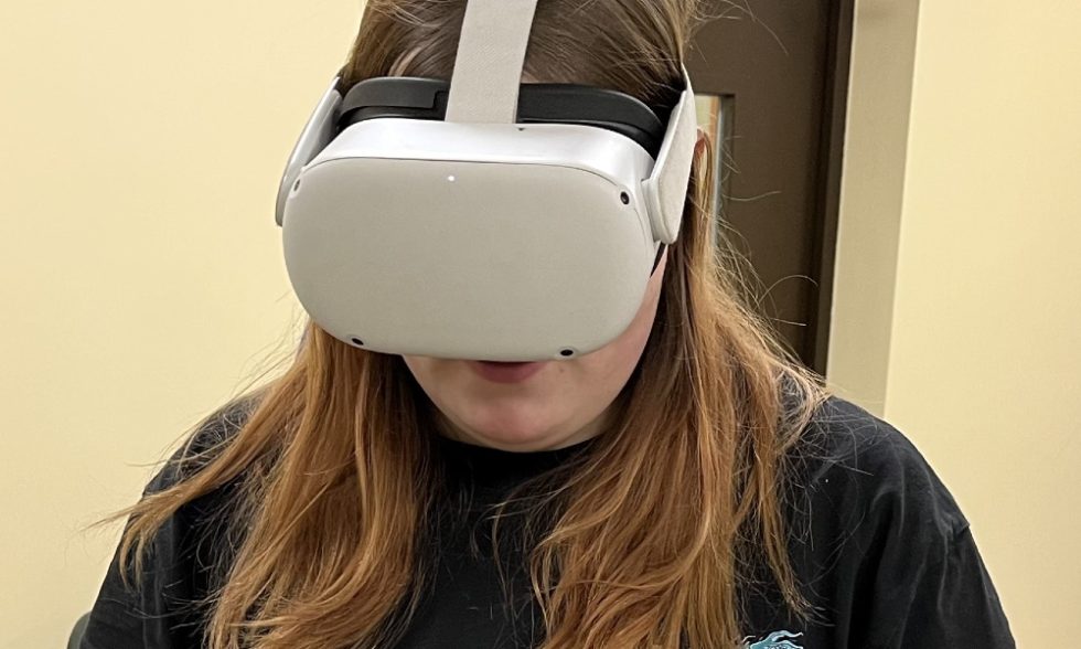 VIRTUALIOS REALYBĖS KELIONĖ