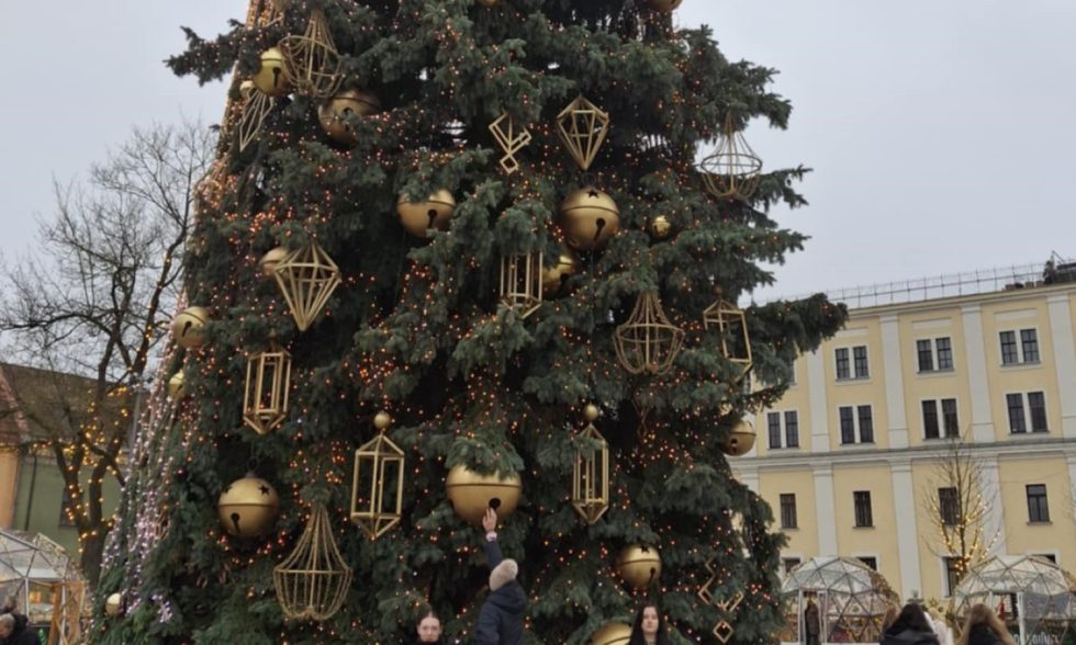 KALĖDŲ LAUKIMO AKIMIRKA KAUNO SENAMIESTYJE
