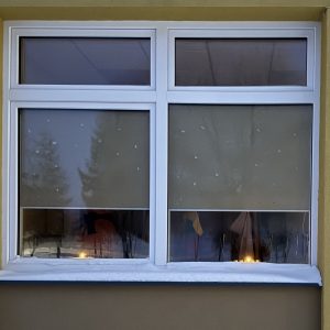 LAISVĖS GYNĖJŲ DIENA