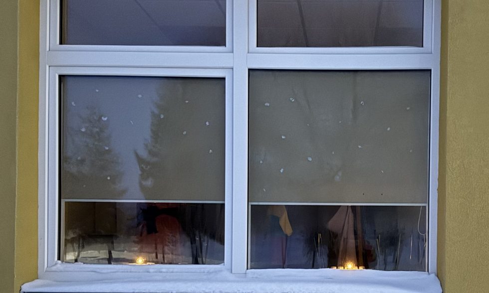 LAISVĖS GYNĖJŲ DIENA