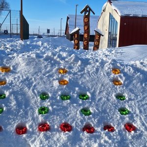 DALYVAVIMAS PILIETINĖJE INICIATYVOJE  „VIENYBĖS ŽIBINTAI“