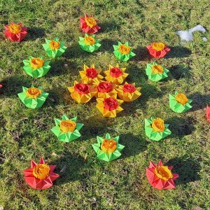 Pilietinė iniciatyva ,,,Gyvasis tautos žiedas“