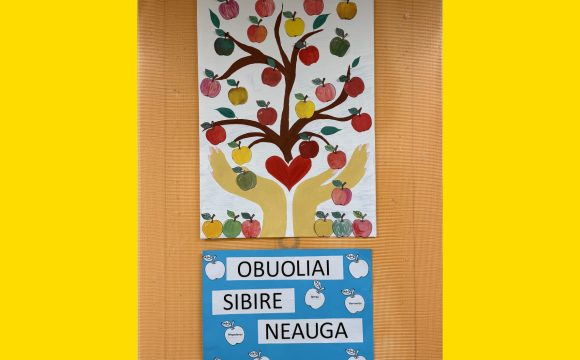 OBUOLIAI SIBIRE NEAUGA